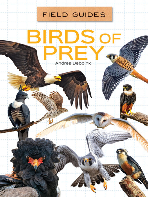 Title details for Birds of Prey by Andrea Debbink - Wait list